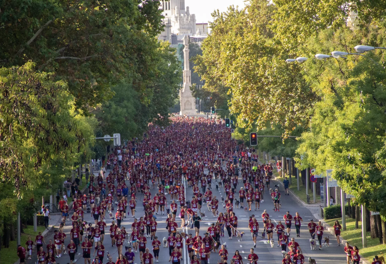 Participantes de Perrotón recorriendo una avenida arbolada de Madrid